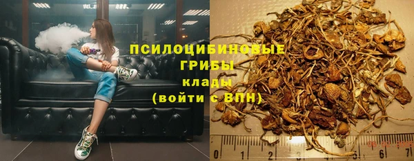 соль ск Касимов