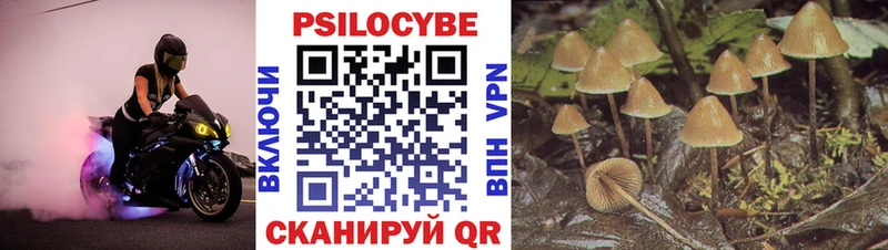 блэк спрут как войти  где купить наркоту  Карасук  Псилоцибиновые грибы Magic Shrooms 
