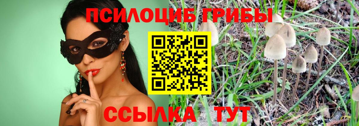 Псилоцибиновые грибы Magic Shrooms  Галлюциногенные грибы Psilocybe  Вход с VPN  Карасук 